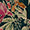 Bluse mit Rüschendetail
