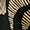 Hose mit Druck